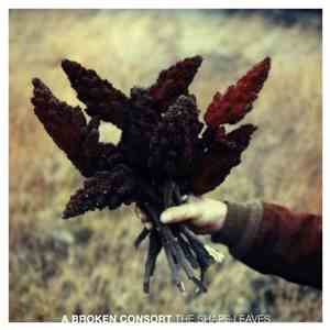 A Broken Consort - The Shape Leaves download mp3 flac