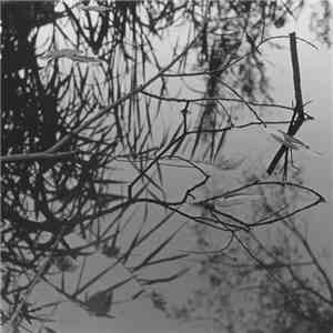 Antony And The Johnsons - Swanlights download mp3 flac
