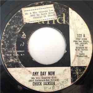 Chuck Jackson - Any Day Now / The Prophet download mp3 flac