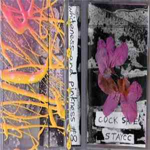 Cock Safe - Staycc download mp3 flac