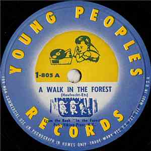 David Pfeffer - A Walk In The Forest download free
