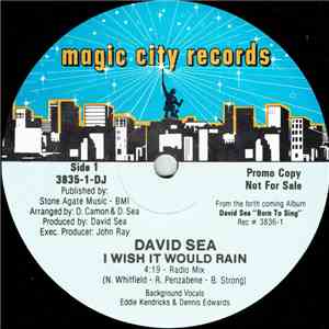David Sea - I Wish It Would Rain download mp3 flac