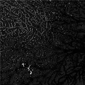 Deaf Center - Live In Moscow download free
