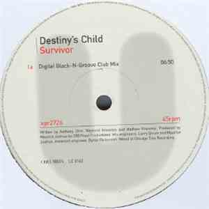 Destiny's Child - Survivor download mp3 flac