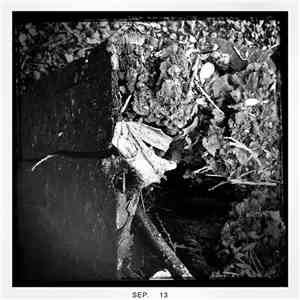 Dirk Serries - Streams Of Consciousness 152401 download mp3 flac