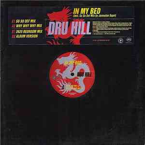 Dru Hill - In My Bed download mp3 flac