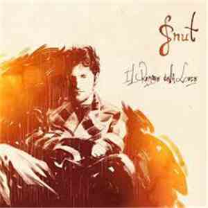 Gnut - Il Rumore Della Luce download mp3 flac