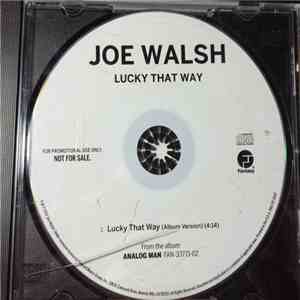 Joe Walsh - Lucky That Way download mp3 flac