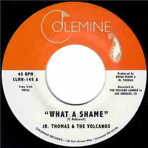 Jr. Thomas & The Volcanos - What A Shame / Brian Wilson download mp3 flac
