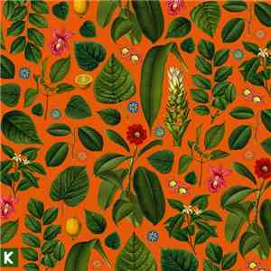 Kings Kaleidoscope - Becoming Who We Are download mp3 flac