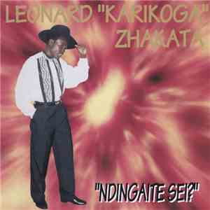 Leonard "Karikoga" Zhakata - Ndingaite Sei download free