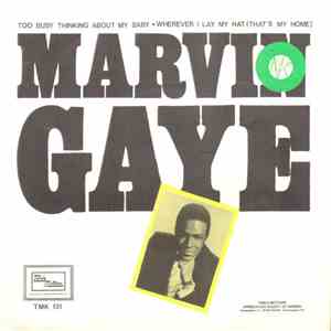 Marvin Gaye - Too Busy Thinking About My Baby download mp3 flac