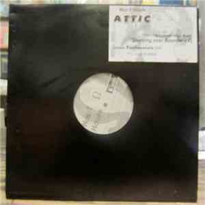 Nas-T Howie - Attic download free