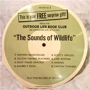 No Artist - The Sounds Of Wildlife download free
