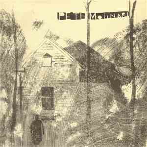 Pete Molinari - A Virtual Landslide download mp3 flac