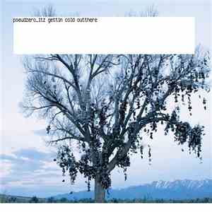 Pseudzero - Hoarfrost download mp3 flac