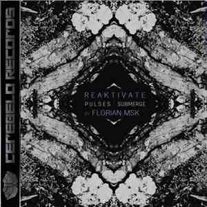 Pulses - Reaktivate Pulses download mp3 flac