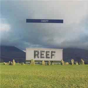 Reef - Sweety download mp3 flac
