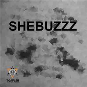 Shebuzzz - Debut Solo download mp3 flac