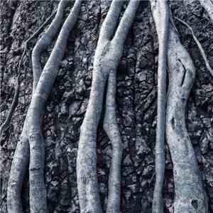 Southfacing / Ali Wade - Southfacing / Ali Wade download mp3 flac