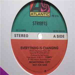 Streets  - Everything Is Changing download mp3 flac
