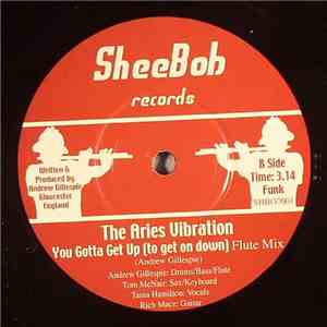 The Aries Vibration - You Gotta Get Up (To Get On Down) download mp3 flac