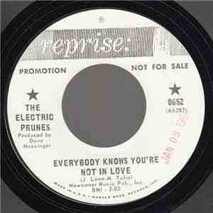 The Electric Prunes - Everybody Knows You're Not In Love / You've Never Had It Better download free