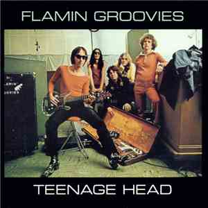 The Flamin' Groovies - Teenage Head download mp3 flac