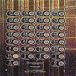 withchips - elevator music download mp3 flac